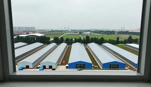 云平台搭建中的性能考量与适用场景分析